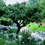 How Sustainable Landscaping Lowers Operating Costs for Facilities